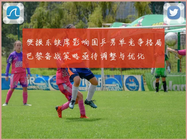 樊振东缺席影响国乒男单竞争格局巴黎备战策略亟待调整与优化