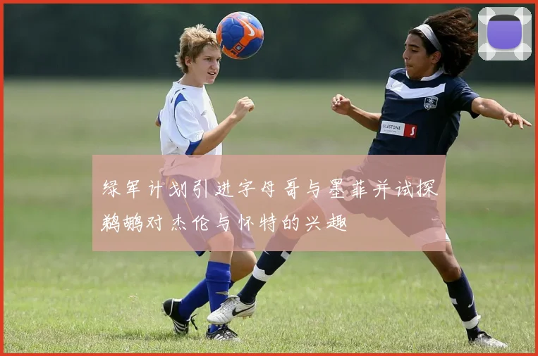 绿军计划引进字母哥与墨菲并试探鹈鹕对杰伦与怀特的兴趣