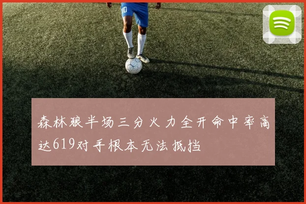 森林狼半场三分火力全开命中率高达619对手根本无法抵挡